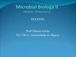 Molecular Biology II Módulo: Protozoários