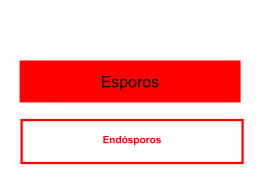 Esporos - Unigran