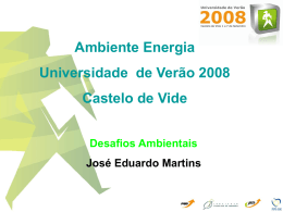 Ambiente e Energia - Universidade de Verão 2008