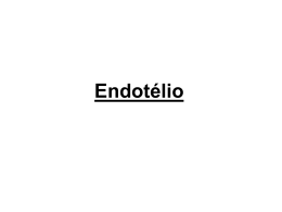 Endotélio