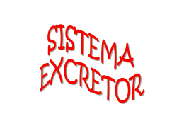 Sistema Excretor