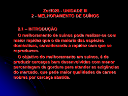Zot1028 - UNIDADE III 2- MELHORAMENTO DE SUÍNOS