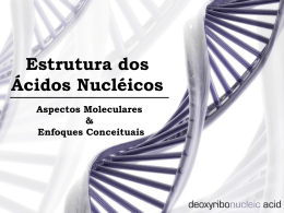 Estrutura dos &aacute;cidos nucl&eacute;icos