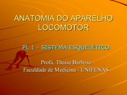 ANATOMIA DO APARELHO LOCOMOTOR