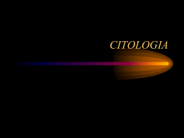 citologia – parte i