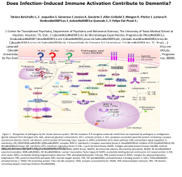 Does Infection-Induced Immune Activation