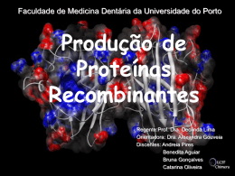 Produção de Proteínas Recombinantes - Medicina