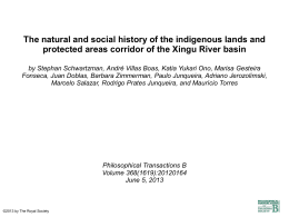 Xingu Basin indigenous lands and protected areas corridor.