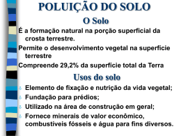 Polui&ccedil;&atilde;o do Solo O solo