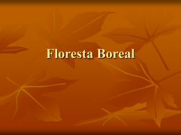 Floresta Boreal - escolafilintomuller