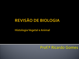 BIOLOGIA REVISÃO – Histologia Animal e Vegetal