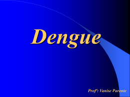 Dengue - Capital Social Sul