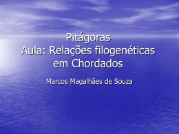 Pitágoras Aula: Relações filogenéticas em Chordados
