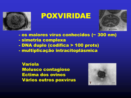 Aula 16 - Poxvírus