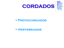 Vertebrados
