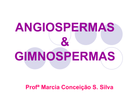 ANGIOSPERMA E GIMNOSPERMAS