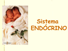 Sistema ENDÓCRINO Sistema endócrino