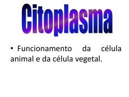 05 - Citoplasma