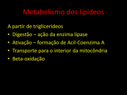 Metabolismo de lipídios