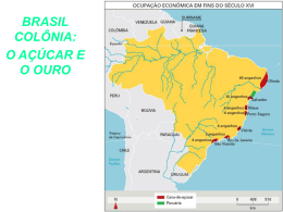 BRASIL ACUCAREIRO E SOCIEDADE COLONIAL(1)