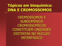 Tópicos em bioquímica: DNA E CROMOSSOMOS