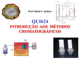 Cromatografia Líquida - Departamento de Química da UFMG