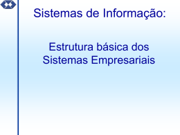 Sistemas de Informação: