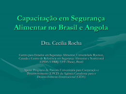 Capacitação em Segurança Alimentar no Brasil e Angola
