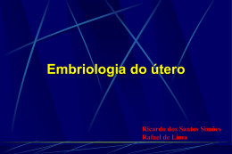 INTRODUÇÃO