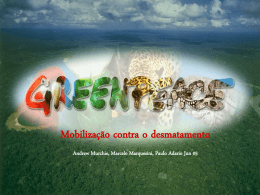 O Desmatamento e seus Impactos na Amazônia - OBT