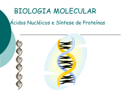 A- DNA