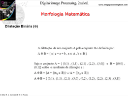 Aula 8 - Morfologia Matem&aacute;tica I