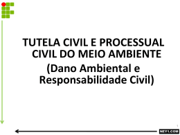 Dano Ambiental e Responsabilidade Civil