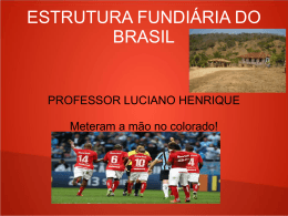 estrutura fundiária do brasil