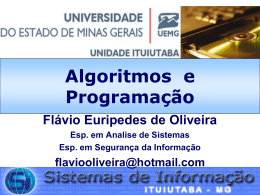 Apresentação - Professor Flávio