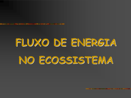 Fluxoenergia