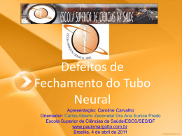 Defeitos de Fechamento do Tubo Neural