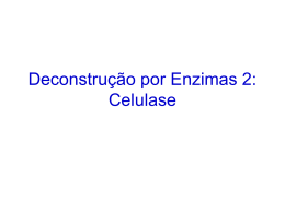 Deconstruction by Enzymes 1: Cellulase