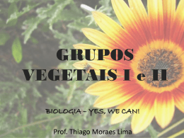 Grupos Vegetais I - Biologia