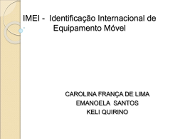 IMEI - International Mobile Equipment Identity