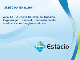 Direito Coletivo. Organiza&ccedil;&atilde;o sindical