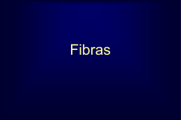 266fibras__fitosteraois