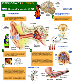 Poster explicativo sobre a fisiologia da audição