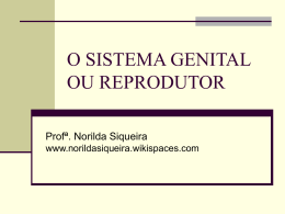 o sistema genital ou reprodutor - norildasiqueira