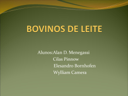BOVINOS DE LEITE