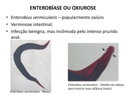 2 Enterobius vermicularis