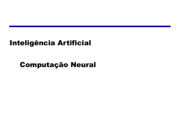 Computação Neural - Objetivo Sorocaba