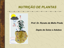 1.1 - Nutricao de Plantas