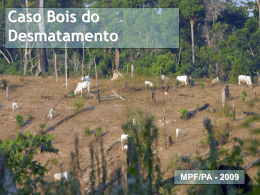 Apresentacao TAC Bois Desmatamento-painel