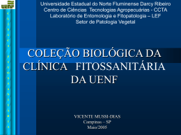 VicenteUNEF_Colecao Biológica da Clínica Fitossanitária da UENF